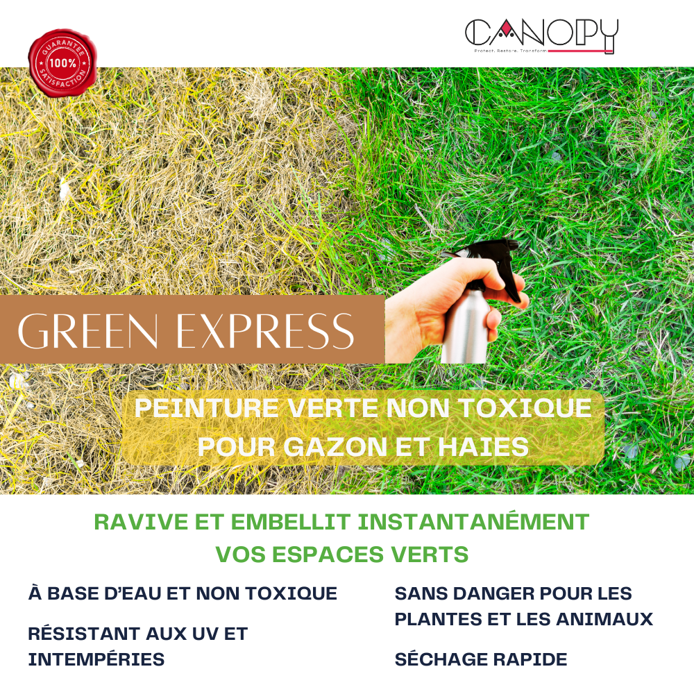 GREEN EXPRESS – Peinture verte non toxique pour gazon et haies