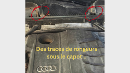 REPULSE RATS - Diffuseur d’Huiles Essentielles Répulsives