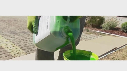 GREEN EXPRESS – Peinture verte non toxique pour gazon et haies
